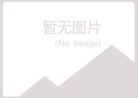 日照岚山以寒电讯有限公司